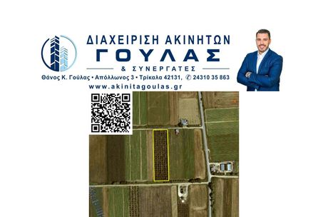 Αγροτεμάχια 6.000τ.μ. για πώληση-Παραληθαίοι