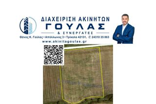 Αγροτεμάχια 12.875 τ.μ. για πώληση