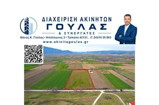 Αγροτεμάχια 21.129 τ.μ. για πώληση