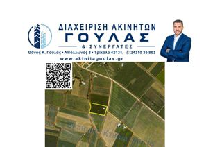 Αγροτεμάχια 8.000 τ.μ. για πώληση