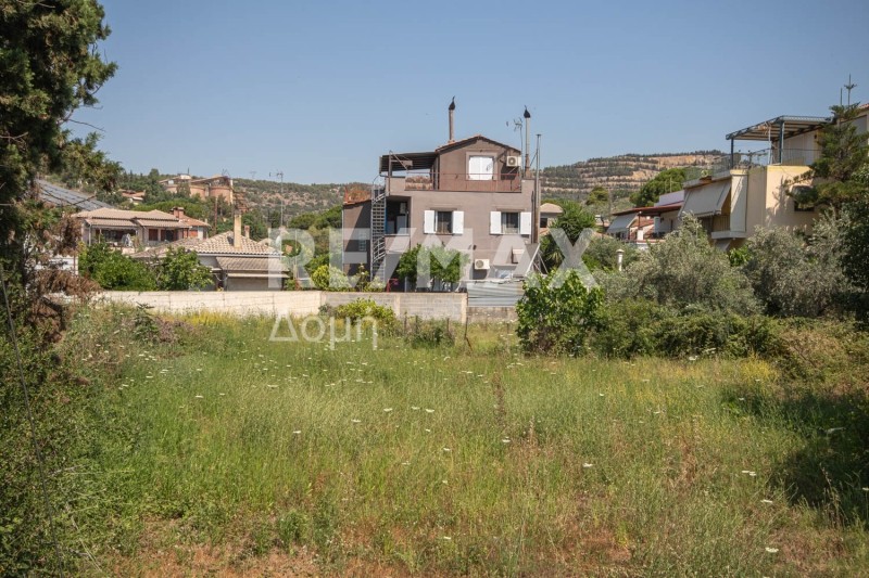 Οικόπεδο 540 τ.μ. πρός πώληση, Μαγνησία, Αγριά