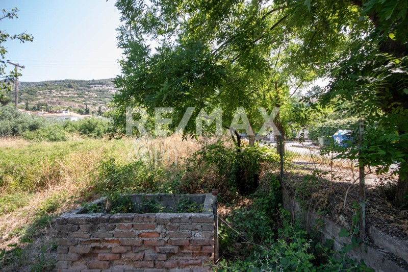Οικόπεδο 540 τ.μ. πρός πώληση, Μαγνησία, Αγριά