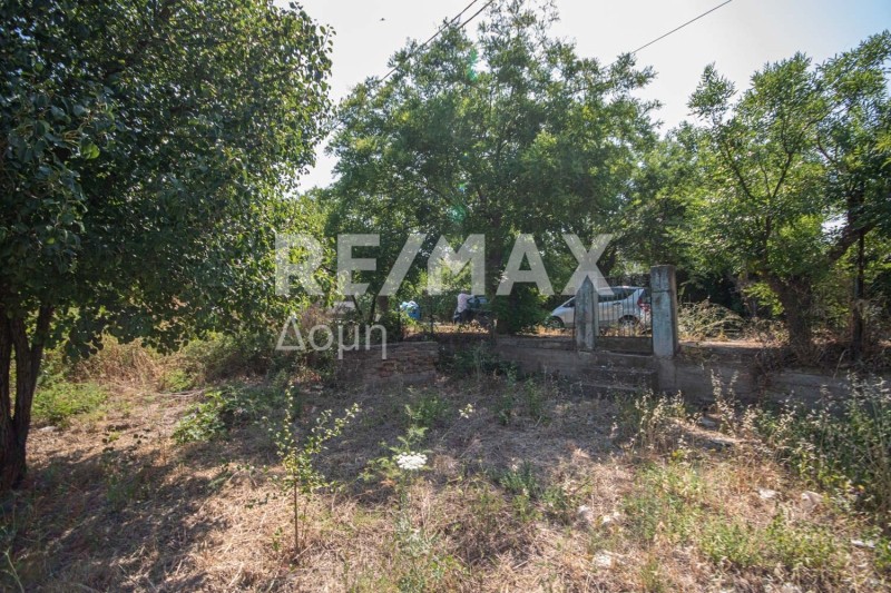 Οικόπεδο 540 τ.μ. πρός πώληση, Μαγνησία, Αγριά