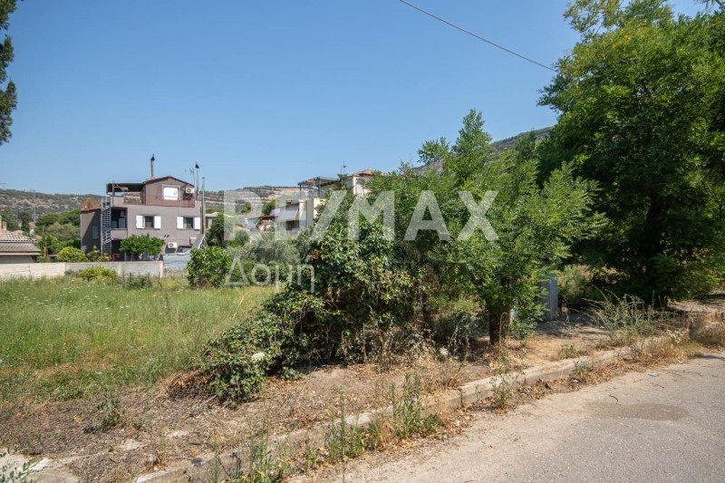 Οικόπεδο 540 τ.μ. πρός πώληση, Μαγνησία, Αγριά