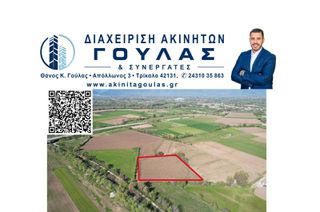 Αγροτεμάχια 8.700 τ.μ. για πώληση