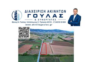 Αγροτεμάχια 5.000 τ.μ. για πώληση
