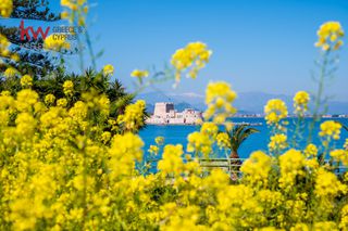 Διαμέρισμα 66,16 τ.μ. για πώληση, Αργολίδα, Ναύπλιο-thumb-21