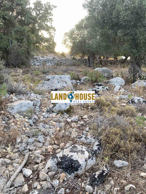 Αγροτεμάχια 4.057 τ.μ. πρός πώληση, Ν. Ρεθύμνου, Νικηφόρος Φωκάς