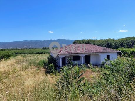 Μονοκατοικία 122τ.μ. για πώληση-Βέροια » Μέση