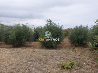 Οικόπεδο 1.050 τ.μ. για πώληση, Ν. Ρεθύμνου, Αρκάδι-thumb-5