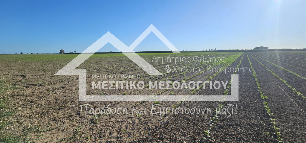 Αγροτεμάχια 48.141 τ.μ. πρός πώληση, Αιτωλοακαρνανία, Ιερά Πόλη Μεσολογγίου