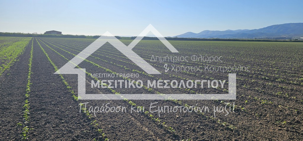 Αγροτεμάχια 48.141 τ.μ. πρός πώληση, Αιτωλοακαρνανία, Ιερά Πόλη Μεσολογγίου