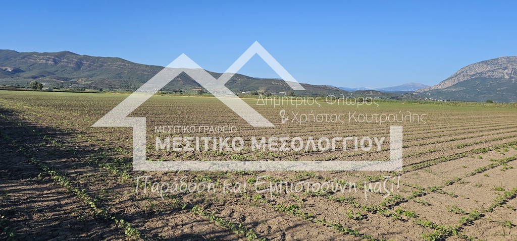 Αγροτεμάχια 48.141 τ.μ. πρός πώληση, Αιτωλοακαρνανία, Ιερά Πόλη Μεσολογγίου