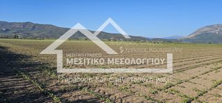 Αγροτεμάχια 48.141 τ.μ. προς πώληση