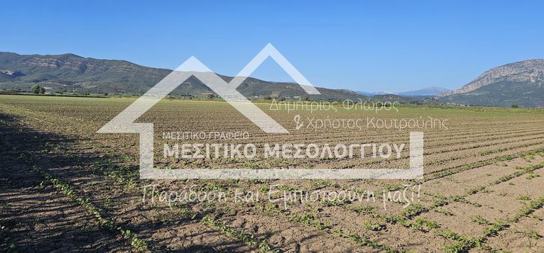 Αγροτεμάχια 48.141 τ.μ. για πώληση, Αιτωλοακαρνανία, Ιερά Πόλη Μεσολογγίου