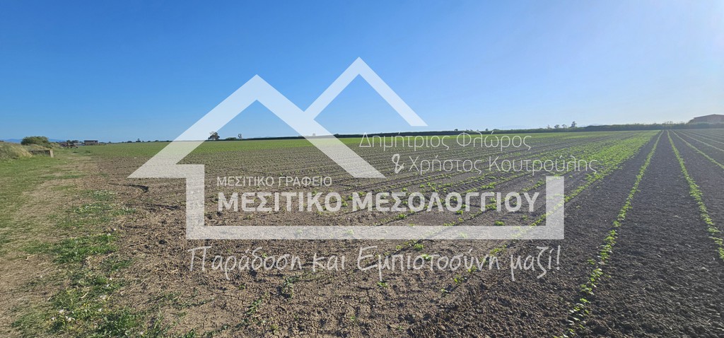 Αγροτεμάχια 48.141 τ.μ. πρός πώληση, Αιτωλοακαρνανία, Ιερά Πόλη Μεσολογγίου