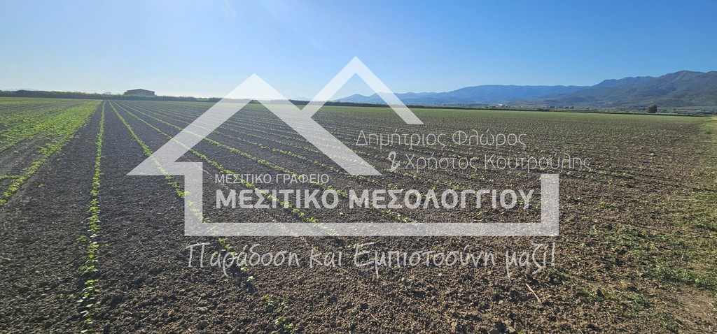 Αγροτεμάχια 48.141 τ.μ. πρός πώληση, Αιτωλοακαρνανία, Ιερά Πόλη Μεσολογγίου