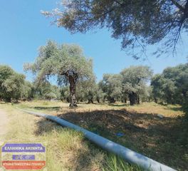 Οικόπεδο 3.600 τ.μ. για πώληση