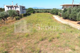 Οικόπεδο 2.000 τ.μ. για πώληση, Μεσσηνία, Καλαμάτα-thumb-24