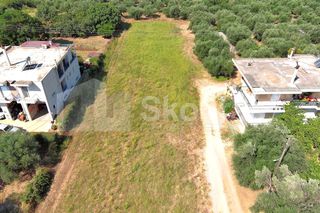 Οικόπεδο 2.000 τ.μ. για πώληση
