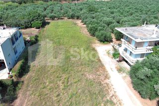 Οικόπεδο 2.000 τ.μ. για πώληση, Μεσσηνία, Καλαμάτα-thumb-18