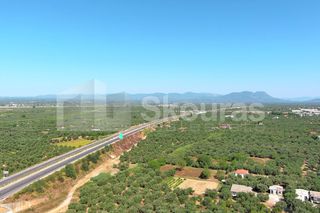 Οικόπεδο 2.000 τ.μ. για πώληση, Μεσσηνία, Καλαμάτα-thumb-11