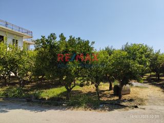 Οικόπεδο 2.247 τ.μ. για πώληση