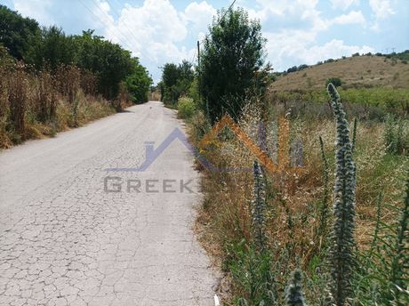 Αγροτεμάχια 5.065τ.μ. για πώληση-Ανατολή