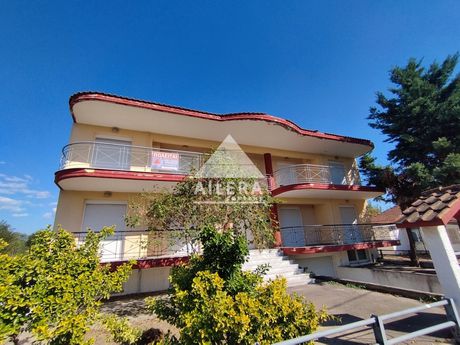 Apartment complex 586sqm for sale-Serres » Pirovolika