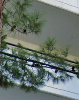 Διαμέρισμα 66τ.μ. για ενοικίαση-Ηλιούπολη » Κάτω ηλιούπολη