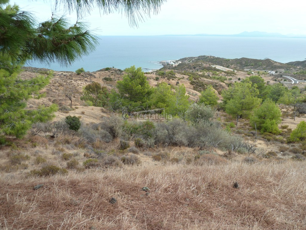 Αγροτεμάχια 3.345 τ.μ. για πώληση, Λευκωσία