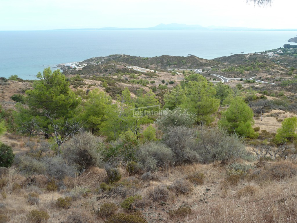 Αγροτεμάχια 3.345 τ.μ. πρός πώληση, Λευκωσία