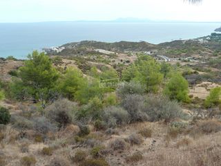 Αγροτεμάχια 3.345 τ.μ. για πώληση, Λευκωσία-thumb-3