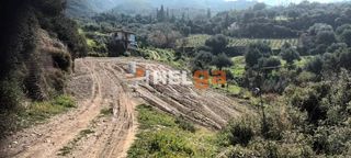 Οικόπεδο 5.000 τ.μ. για πώληση, Αχαΐα, Μεσσατίδα-thumb-2