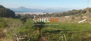 Οικόπεδο 5.000 τ.μ. για πώληση, Αχαΐα, Μεσσατίδα-thumb-8