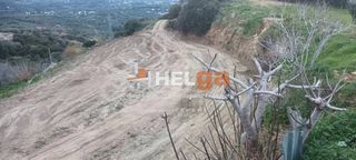 Οικόπεδο 5.000 τ.μ. για πώληση, Αχαΐα, Μεσσατίδα-thumb-3