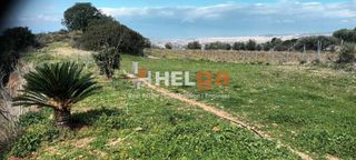 Οικόπεδο 5.000 τ.μ. για πώληση, Αχαΐα, Μεσσατίδα-thumb-12