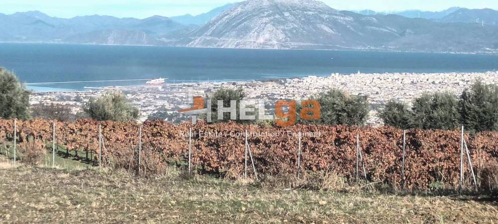 Οικόπεδο 5.000 τ.μ. για πώληση, Αχαΐα, Μεσσατίδα