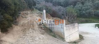 Οικόπεδο 5.000 τ.μ. για πώληση, Αχαΐα, Μεσσατίδα-thumb-4