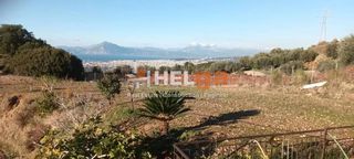 Οικόπεδο 5.000 τ.μ. για πώληση, Αχαΐα, Μεσσατίδα-thumb-5