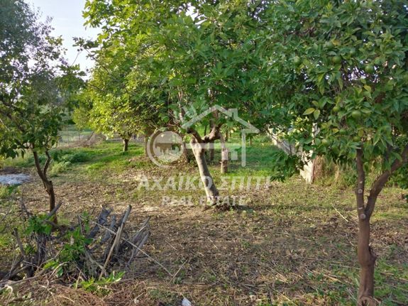 Οικόπεδο 1.000 τ.μ. για πώληση, Αχαΐα, Βραχναίικα