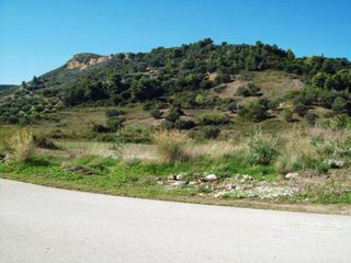 Οικόπεδο 4.100 τ.μ. προς πώληση, Παυλόκαστρο-thumb-1