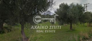Αγροτεμάχια 5.500 τ.μ. για πώληση