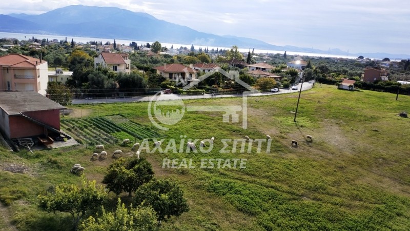 Οικόπεδο 10.000 τ.μ. προς πώληση, Αιτωλοακαρνανία, Ναύπακτος
