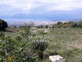 Οικόπεδο 4.600 τ.μ. για πώληση, Αχαΐα, Μεσσατίδα-thumb-4