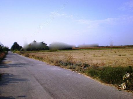 Land plot 7.000sqm for sale-Kastro Killinis » Killini