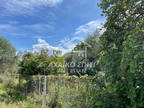 Land plot 460sqm for sale-Rio » Kato Arachovitika