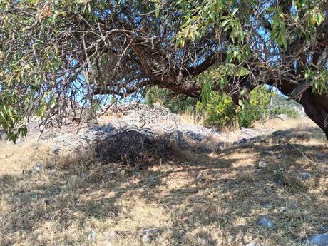 Οικόπεδο 407τ.μ. για πώληση-Κεφαλονιά » Αργοστόλι