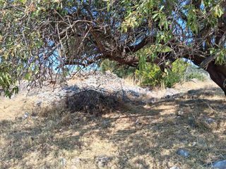 Οικόπεδο 407 τ.μ. για πώληση