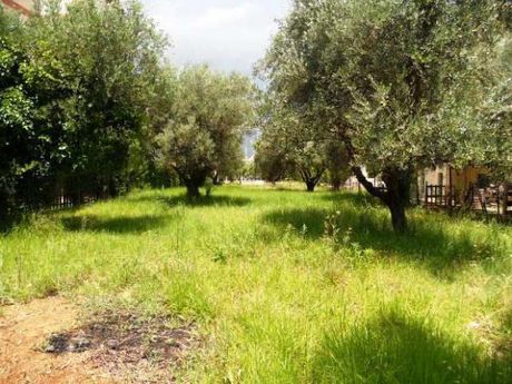 Land plot 600sqm for sale-Rio » Agios Vasileios